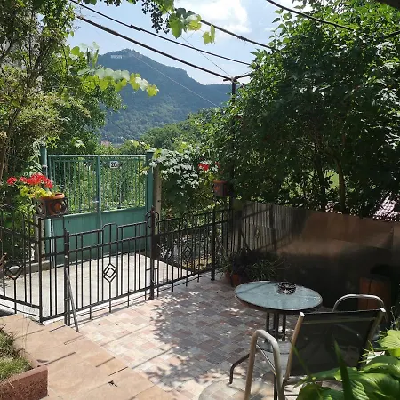 Casa Marius בראשוב